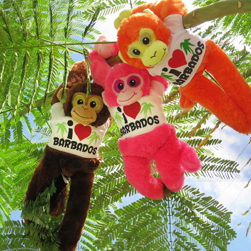 Barbados Monkey Plush Toys, toys, plush, monkey, souvenir, barbados souvenir